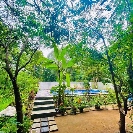 Gangadiya Lodge Sigiriya Exteriér fotografie