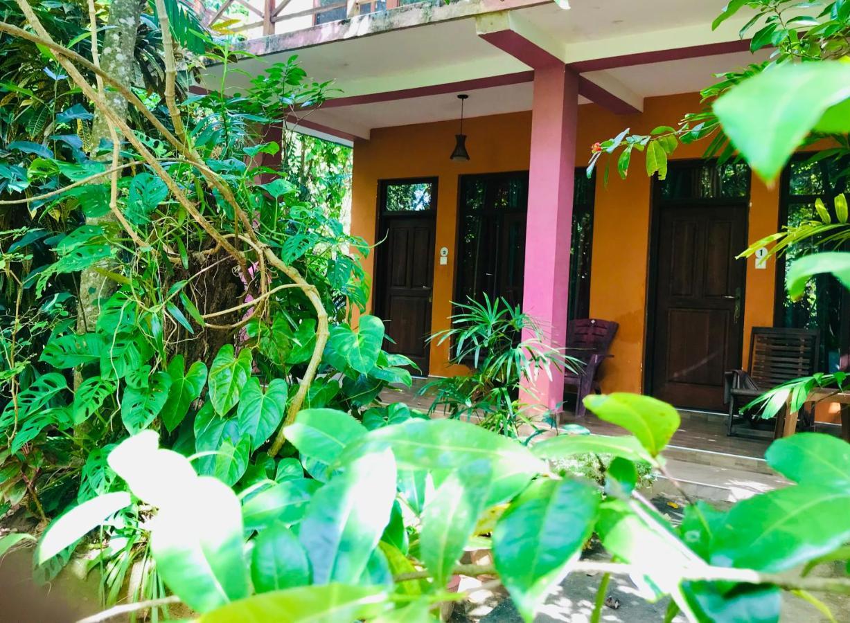 Gangadiya Lodge Sigiriya Exteriér fotografie